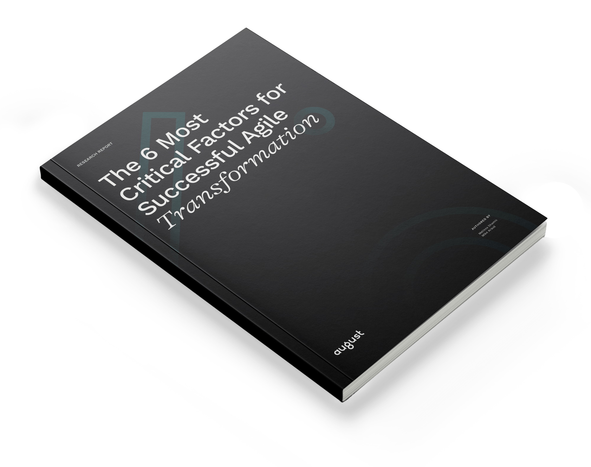 August_Report_Mockup_AgileTransformation